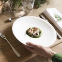 DEGRENNE 244121 official image 2 738924999d