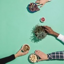 DEGRENNE 234338 official image 3 954c582be4
