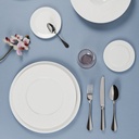DEGRENNE 227845 official image 3 e3dd8d4166
