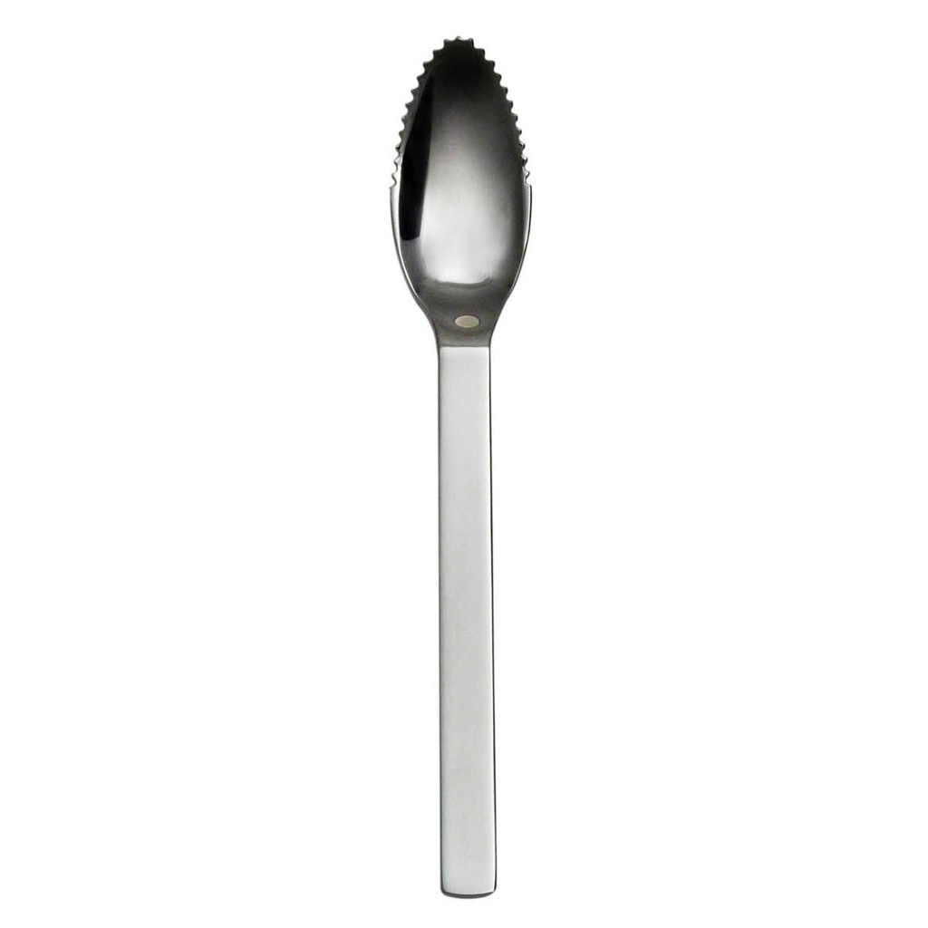 DEGRENNE MODULO — Citrus fruits spoon — 162724 (Pack of 12 pieces)