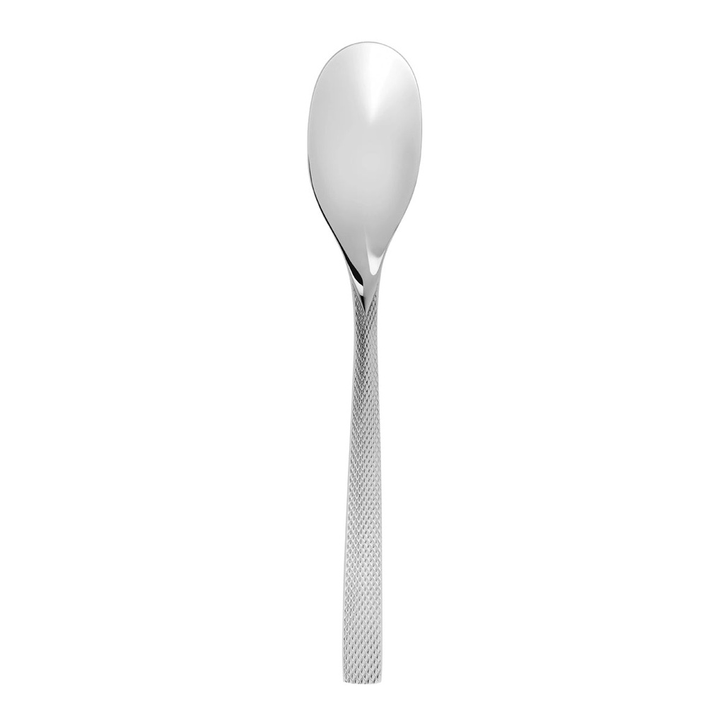 DEGRENNE GUEST STAR — Serving spoon — 223494 (One piece)