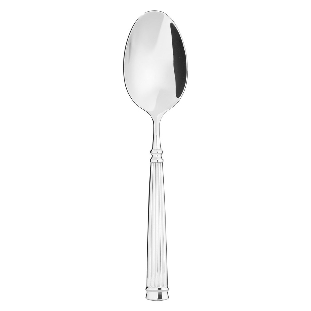 DEGRENNE ACROPOLE — Serving spoon — 024212 (One piece)