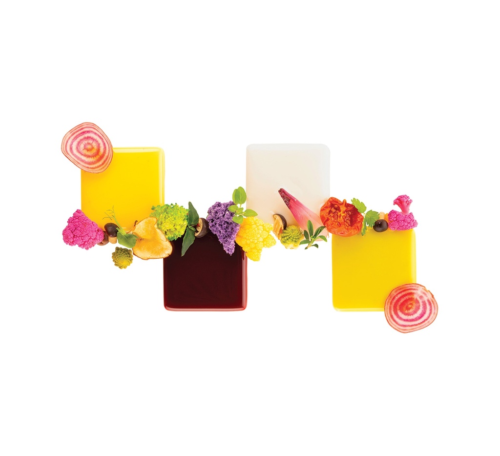 Mallard Ferrière – Silikomart Professional Naturae silicone eight square series moulding sheet — Sheet length: 470 mm; Sheet width: 270 mm — 10766
