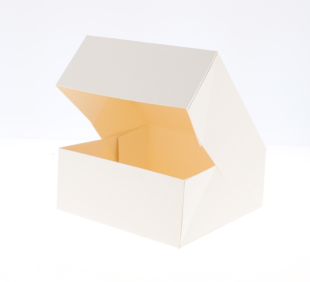 Mallard Ferrière White cardboard catering boxes, pack of 50 — 15923