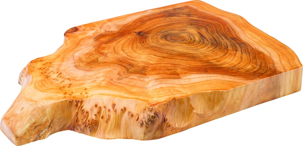 Utopia – Origin Fir Slab 15.75 x 11.75" (40 x 30cm) — JMP840-000000-B01002