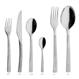 DEGRENNE ASTREE CISELE — 50 pieces solid handle serrated box set — 193342 (One piece)