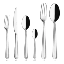 DEGRENNE NORMANDY — 50 pieces solid handle serrated box set — 236527 (One piece)