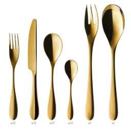 DEGRENNE ONDE PVD OR — 50 pieces solid handle serrated box set — 239464 (One piece)