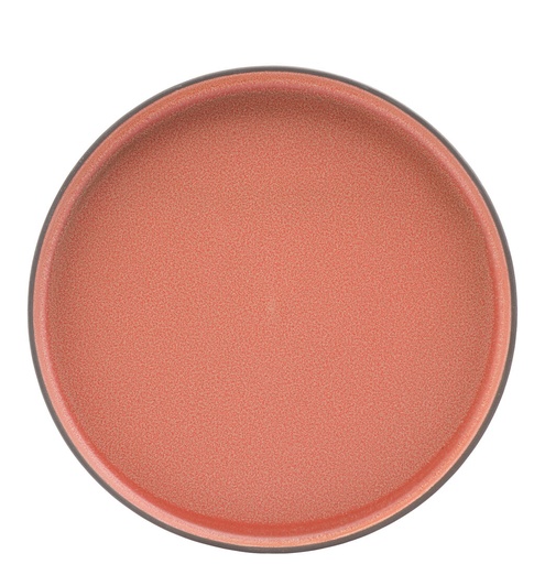 [CT7527-000000-B01006] Coral Walled Plate 10.25" (26cm)