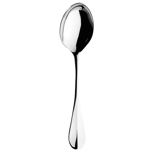 [195755] DEGRENNE BLOIS — Serving spoon — 195755 (One piece)