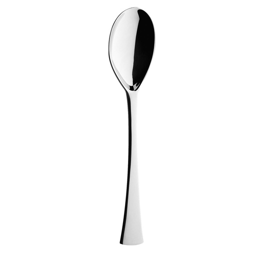 [159500] DEGRENNE SOLSTICE — Serving spoon — 159500 (One piece)