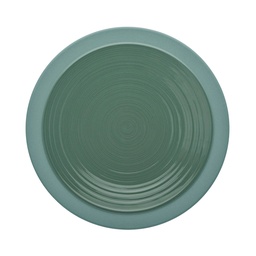 DEGRENNE BAHIA ARGILE VERTE — round dinner plate 26 cm — 230951 (Pack of 6 pieces)